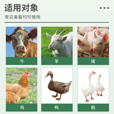 家禽家畜的救星 深度解析兽用白头翁散治拉稀黄白痢