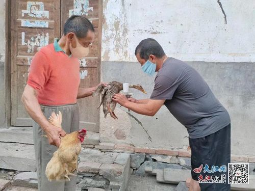 彭泽县天红镇启动家禽家畜防疫行动，全力护航农村公共卫生安全