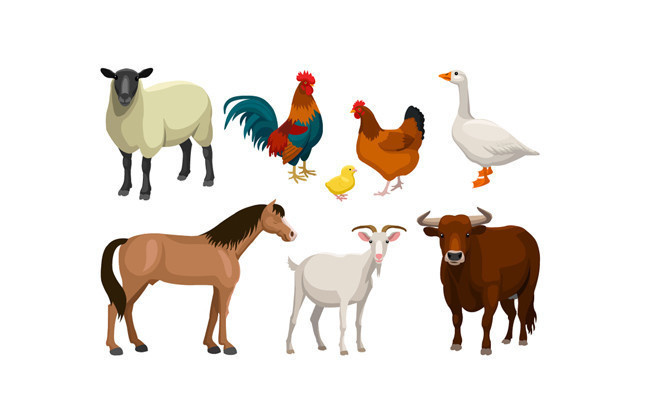 可爱家禽家畜动物矢量素材在工艺品创作中的应用