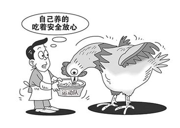 尴尬一幕 巴拉圭足球队因安全顾虑在酒店用餐，冷落长沙特色小吃与工艺品