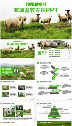 PPTX家禽家畜素材 创意设计与工艺融合利器
